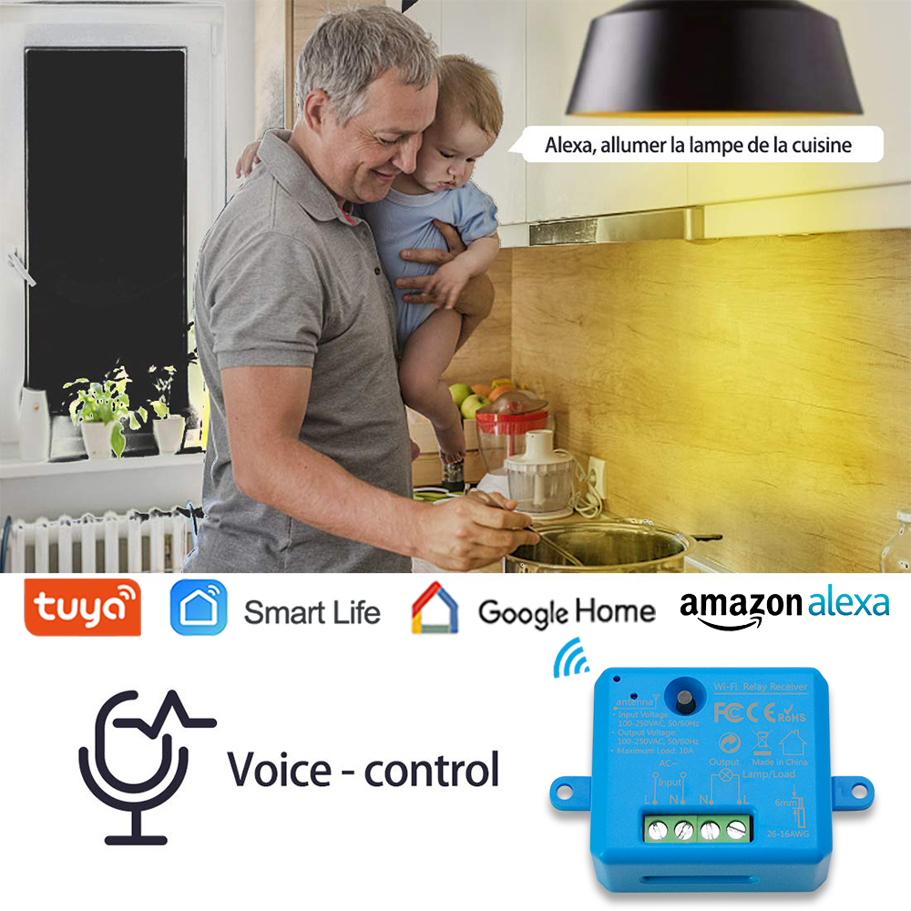 Tuya Smart Life WiFi Socket Ti - Diy Home Automation Controller 리뷰 및 가격