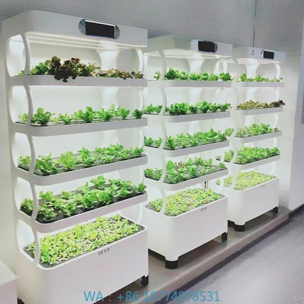 Hydroponic Automated Grow Syst - Diy Home Automation System 리뷰 및 가격